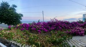 Im Urlaub angekommen. Das dach der Terrasse unsrer ersten Unterkunft