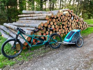 e-Tandem mit Hundanhänger im Wald