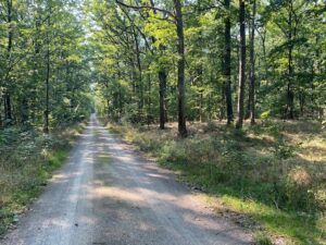 schöner breiter Fahrradweg mit Schotter